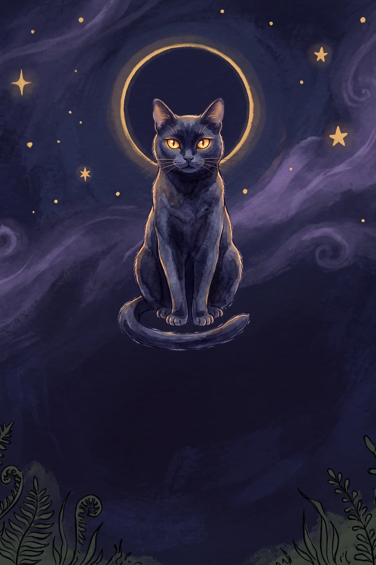 A Gata Preta — a carta do familiar de Sofia